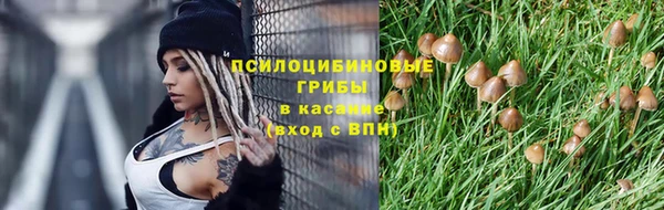 apvp Нефтегорск