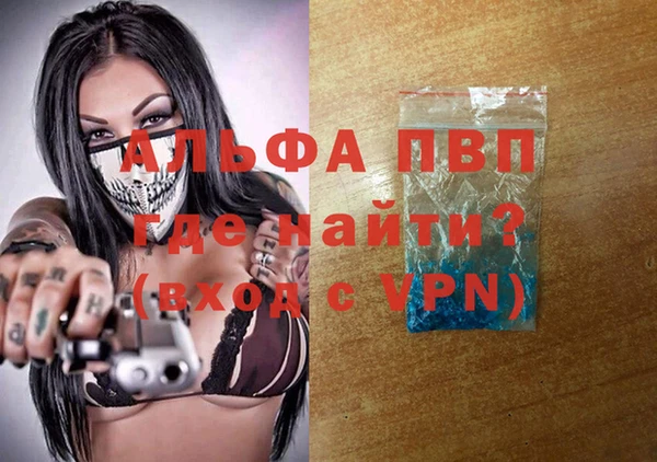 гашик Нея