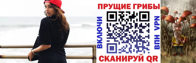 закладка Благодарный Галлюциногенные грибы Magic Shrooms